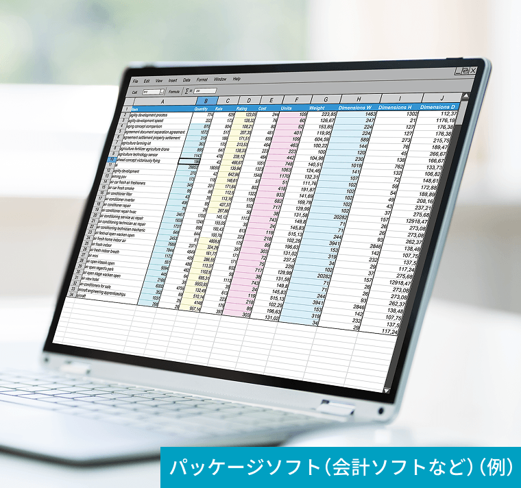 定額販売例：パッケージソフト（会計ソフトなど）